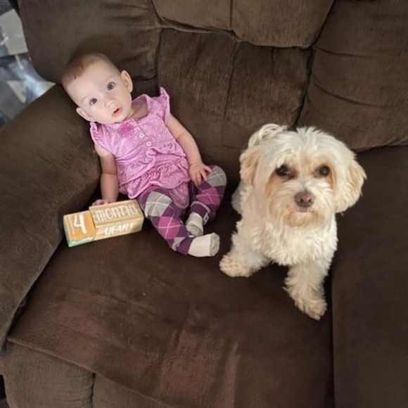 Meet your Posher, Marylee - Picture 1 of 1